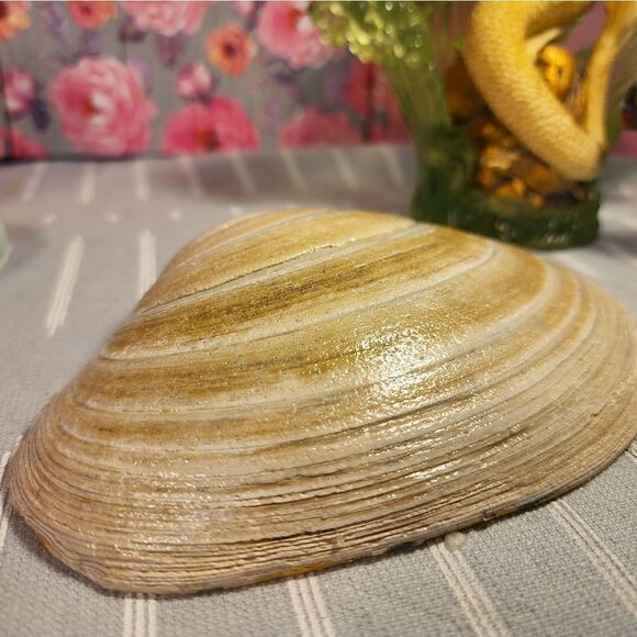 DECOUPAGE CLAM SHELL DECOUPAGE FALL FLOWERS ON A CLAM SHELL TRINKET DISH - Picture 10 of 11